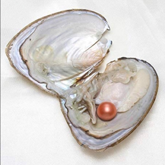 ⚡️Sweet Water Surprise pearl Oyster⚡️ - Picture 2 of 3